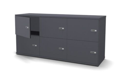 Evolution Short Locker 6-Door